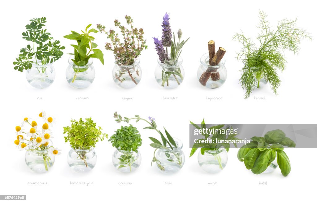 Mediterranean cuisine fresh herbs