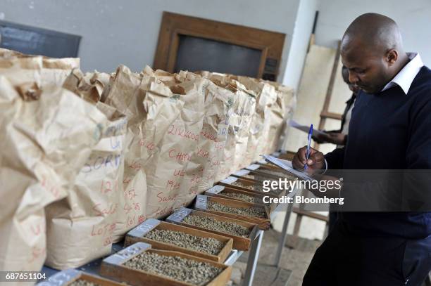 Supervisor takes notes while examining the quality of coffee beans sent for auction from farms around Kenya in the samples room at the Nairobi Coffee...