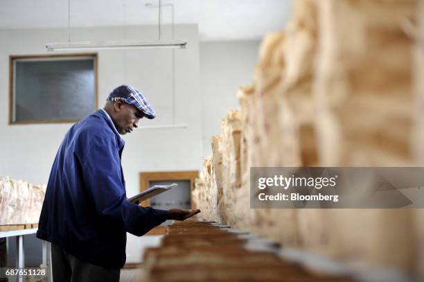 Coffee buyer inspects Kenyan coffee beans which he intends to buy for export in the samples room at the Nairobi Coffee Exchange in Nairobi, Kenya, on...