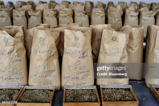 Coffee beans sent for auction from farms around Kenya sit in sacks in the samples room at the Nairobi Coffee Exchange in Nairobi, Kenya, on Tuesday,...