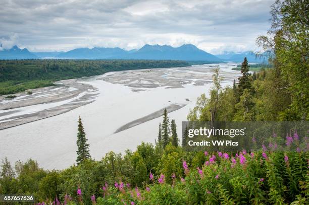 Landscape shot of the Susitna River off of Parks Highway in Alaska.