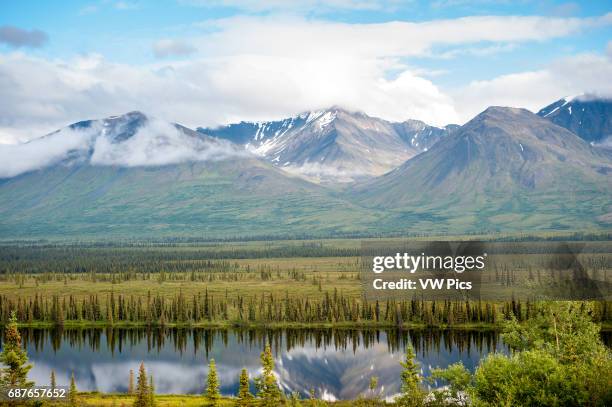 Denali National Park.