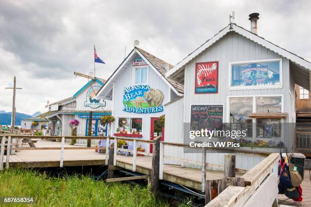 Shops and guide services in a port town if Homer, Alaska.