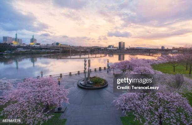 Spring Time Portland Portland Water Park Photos and Premium High Res Pictures - Getty Images