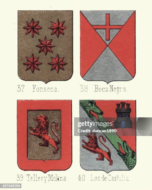 heraldry coat of arms, fonseca, boca negra, molina, castilla - boca animal stock illustrations