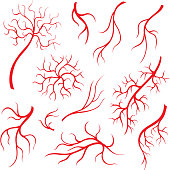 Human eye veins or vessel, red capillaries, blood arteries isolated set