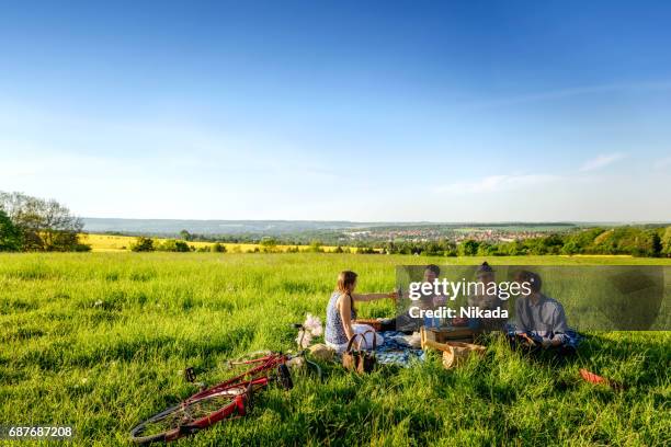 vrienden roosteren flessen en een picknick op het veld - picnic stockfoto's en -beelden