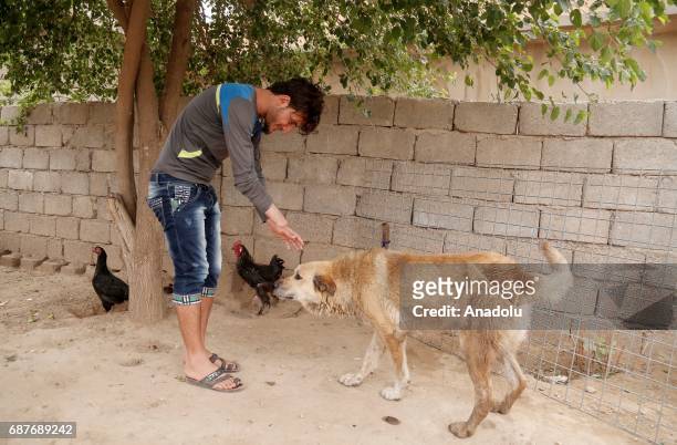 Azad, one of the two siblings who was accused of theft and whose right hand was cut off by Daesh, plays with a dog in Ninova, Iraq on May 23, 2017....