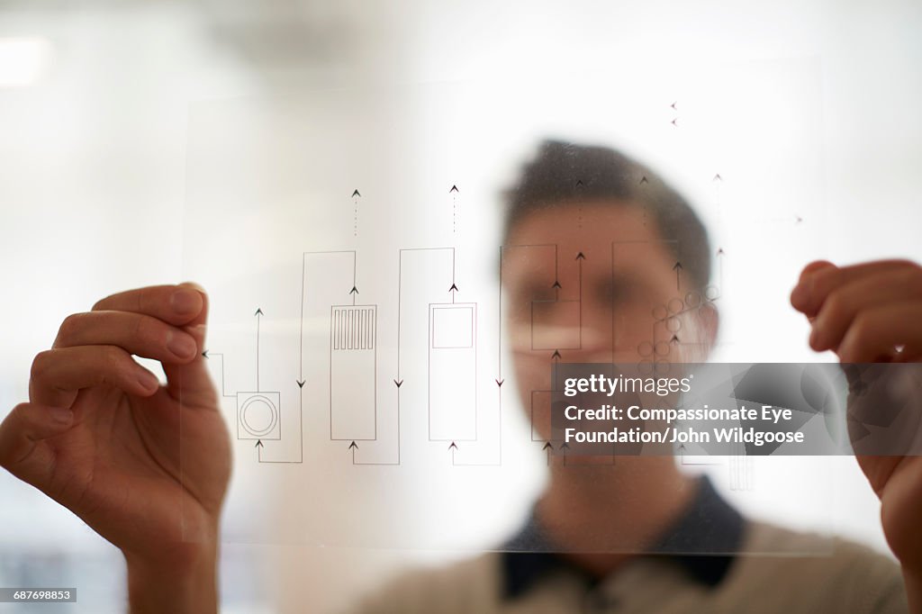 Creative businessman holding diagram