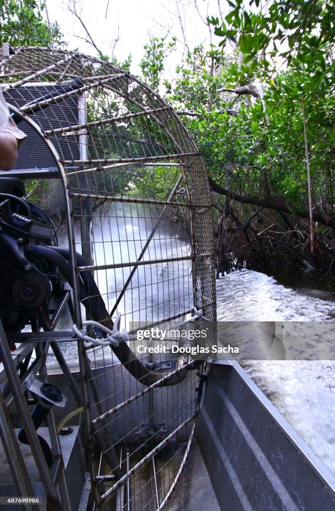 Fast moving airboat races through the mangrove swamp, Everglades National Park, Florida, USA