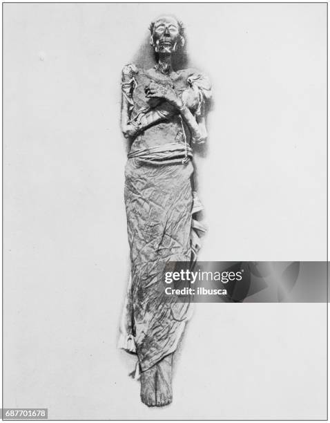 antique photographs of holy land, egypt and middle east: ramses ii mummy - the mummy stock illustrations