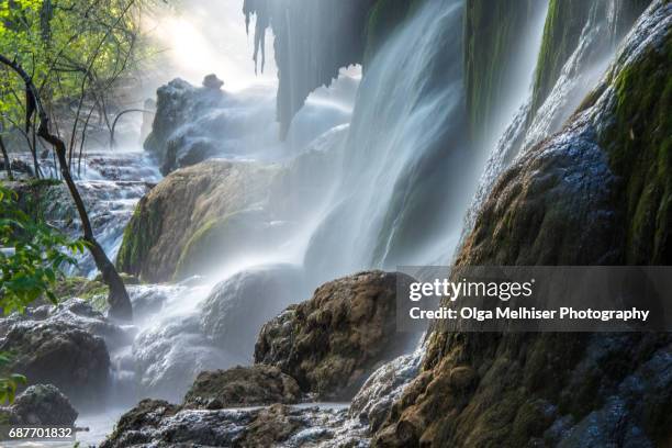 gorman falls at colorado bend state park, texas, usa - falls texas stock pictures, royalty-free photos & images