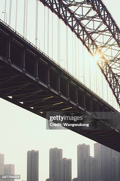 rays of the bridge - cable stayed bridge stock pictures, royalty-free photos & images