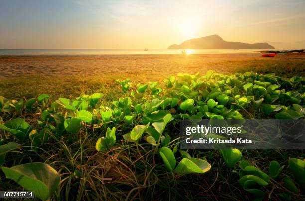 landscape sunrise on the beach - hua hin thailand stockfoto's en -beelden