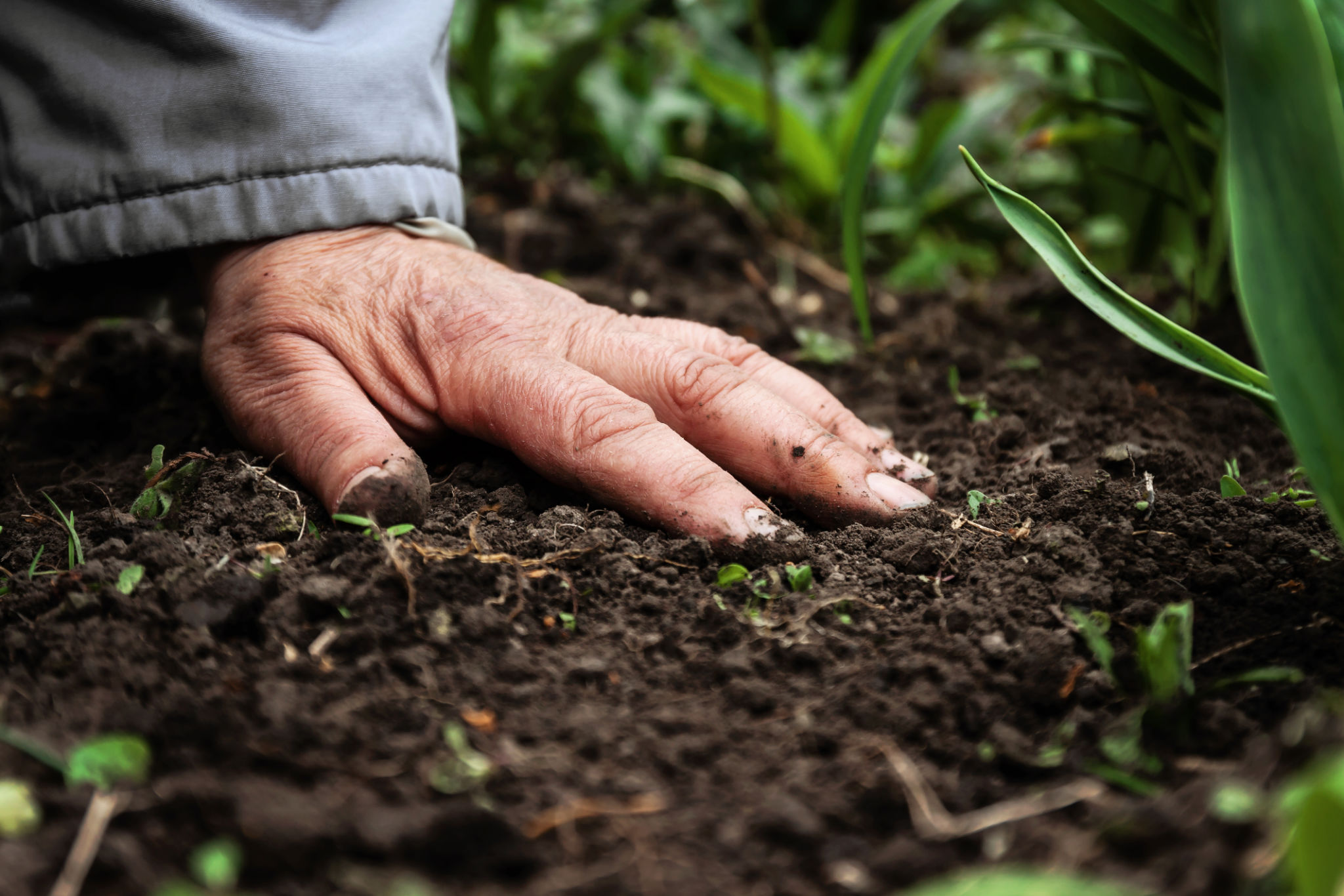 soil protection