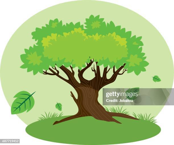 cartoon tree - tree trunk stock illustrations