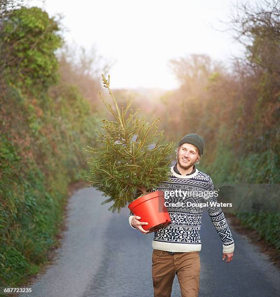 man carrying christmas tree on country lane. - weihnachtspullover mann stock-fotos und bilder
