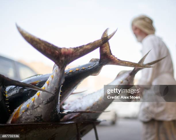 Muscat Fish 295 Muscat Fish Stock Photos, High-Res Pictures, and Images - Getty Images