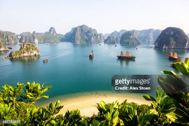 view of halong bay top of island - vietnam stock-fotos und bilder