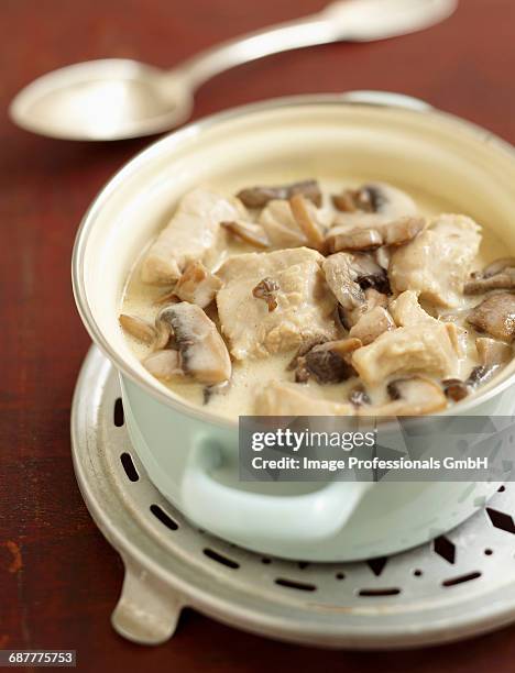 vanilla-flavored veal blanquette - kalfsvlees stockfoto's en -beelden