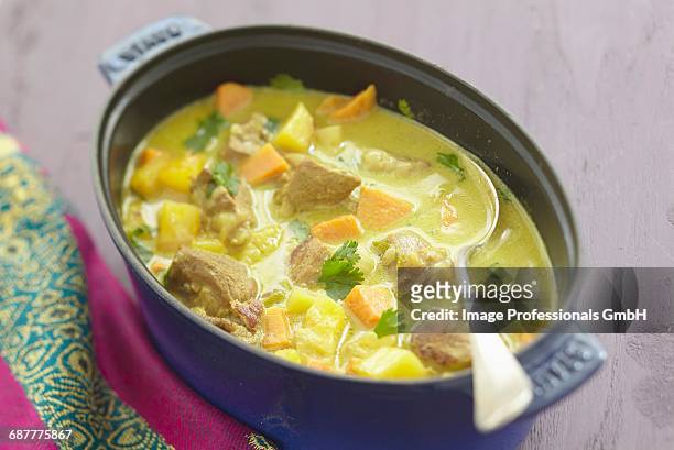 creole navarin - marmite stock pictures, royalty-free photos & images