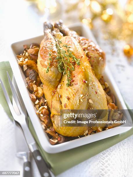 stuffed guinea-fowl with wild mushrooms and hazelnuts - faraona comune foto e immagini stock