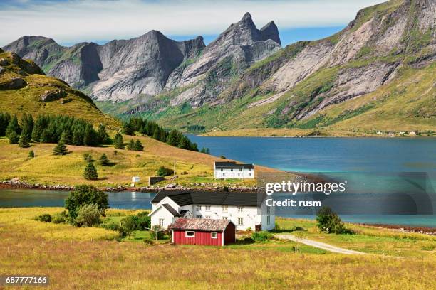 vestvagoy island, îles lofoten, norvège - nordland county photos et images de collection