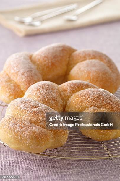 braided croissants coated in sugar - elbow macaroni stock pictures, royalty-free photos & images