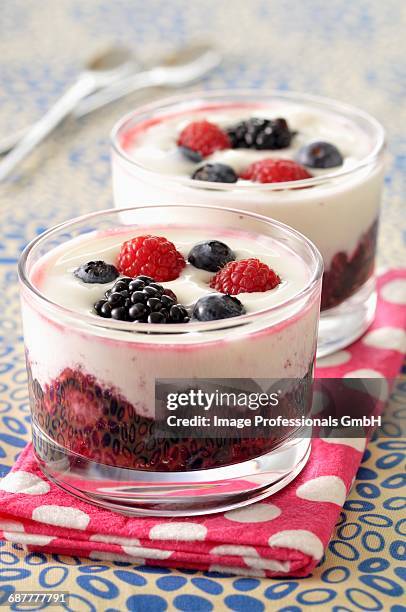 fromage blanc with summer fruit - fromage blanc photos et images de collection