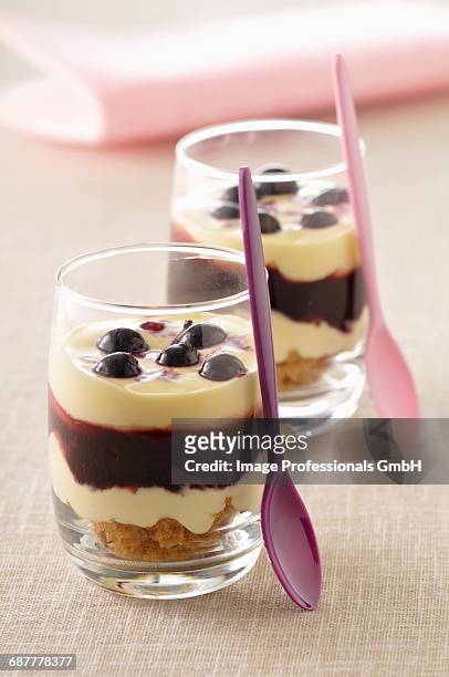 blackcurrant and gingerbread tiramisu - cassis fruit stock pictures, royalty-free photos & images