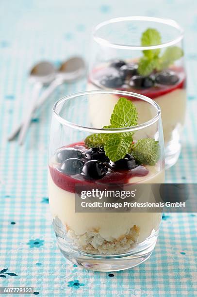 whipped fromage blanc with bilberries - fromage blanc photos et images de collection