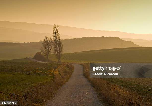 two people walking along camino de santiago at sunset, spain - サンチャゴ巡礼の道 ストックフォトと画像