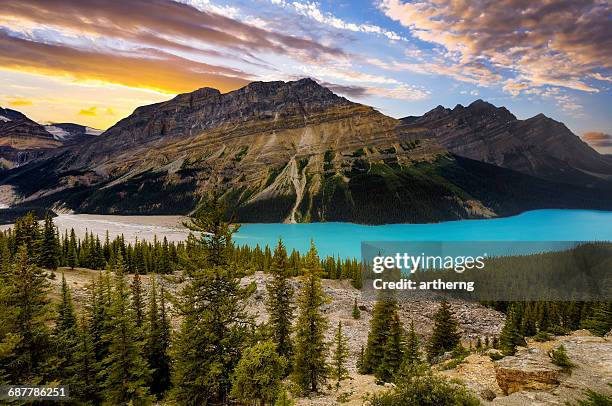 peyto lake, banff national park, alberta, canada - peytomeer stockfoto's en -beelden