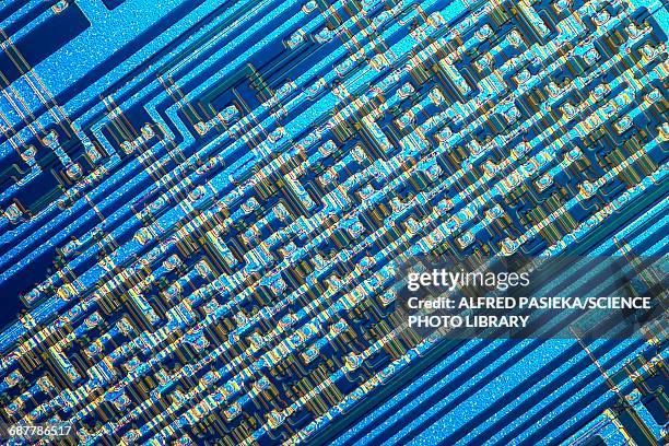 microchip, light micrograph - silicium photos et images de collection