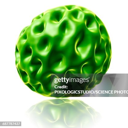 Chlamydia bacterium, illustration Chlamydia bacterium, illustration