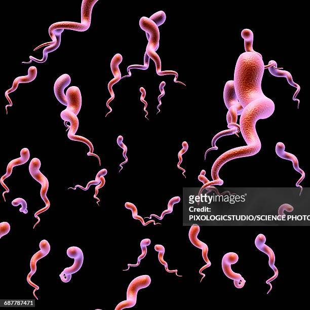 ilustraciones, imágenes clip art, dibujos animados e iconos de stock de syphilis bacteria, illustration - sifilis