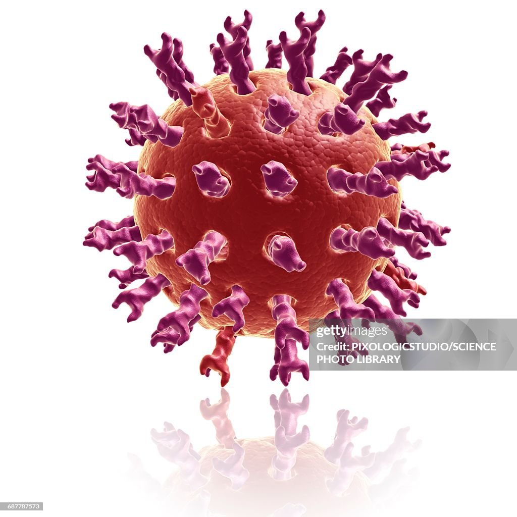 Rotavirus Rasmi Rotavirus Illustration High-Res Vector Graphic - Getty Images