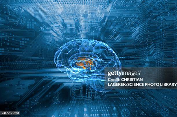 human brain and circuit board - circuit board stock-grafiken, -clipart, -cartoons und -symbole