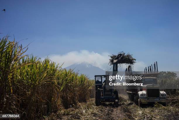 Worker loads a truck with sugarcane in a field in the town of San Cayetano in the municipality of Tepic, Nayarit state, Mexico, on Thursday, May 18,...