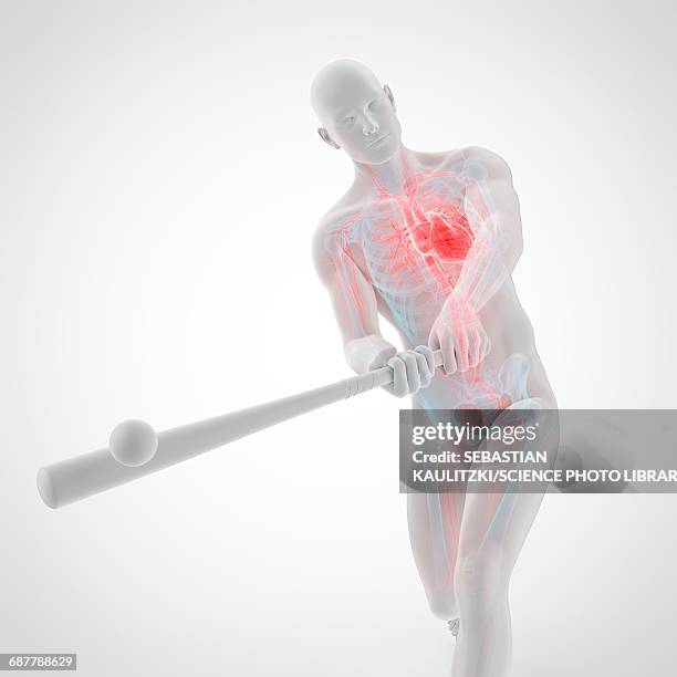 anatomy of a baseball player, illustration - baseball ball stock illustrations