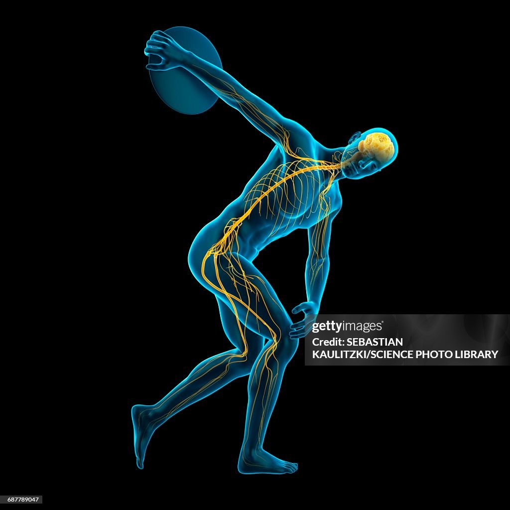 Discus Visualization Athlete Throwing Discus Illustration High-Res Vector Graphic - Getty Images