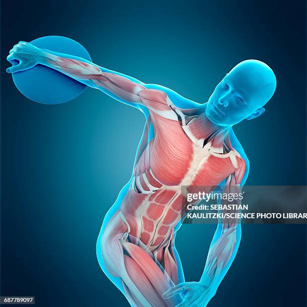 117 Throwing Discus High Res Illustrations - Getty Images