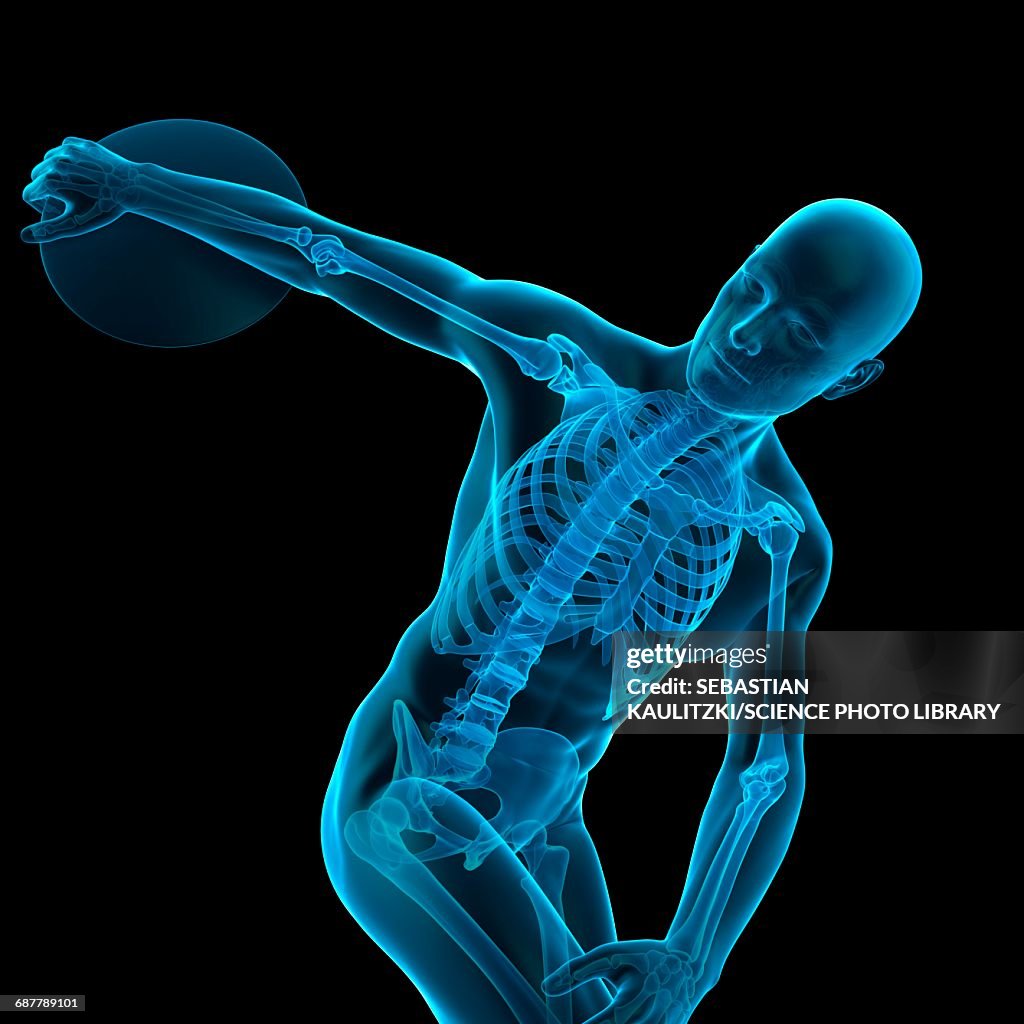 Human Discus Athlete Throwing Discus Illustration High-Res Vector Graphic - Getty Images
