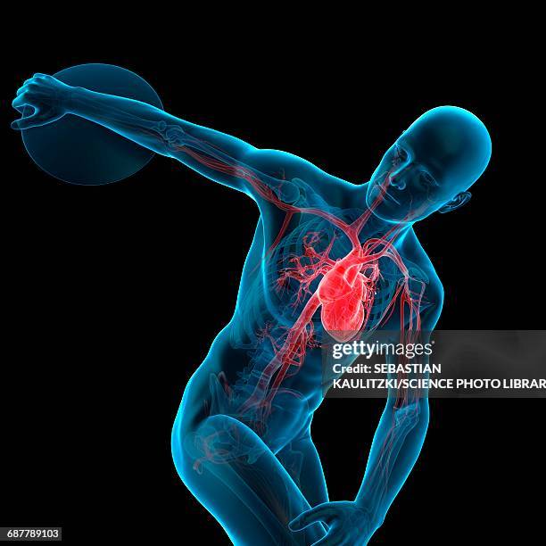 Discus Clip 125 Discus Athlete High Res Illustrations - Getty Images