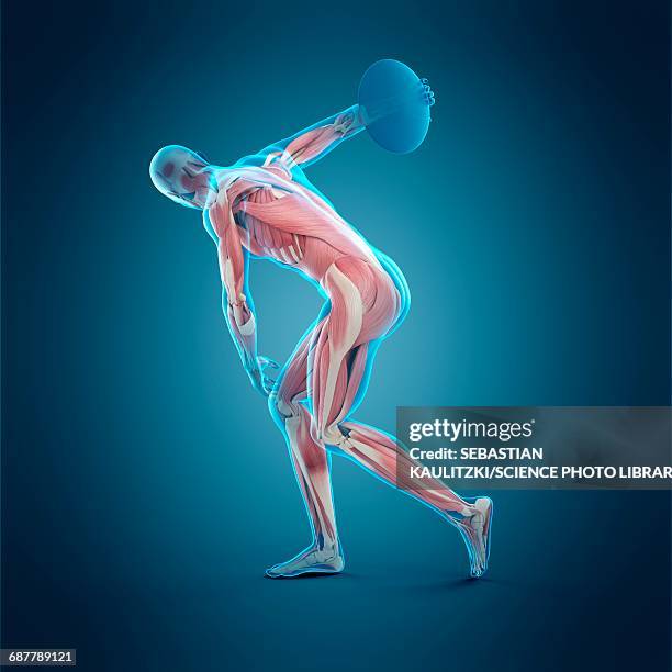 Discus Clip 125 Athlete With Discus High Res Illustrations - Getty Images