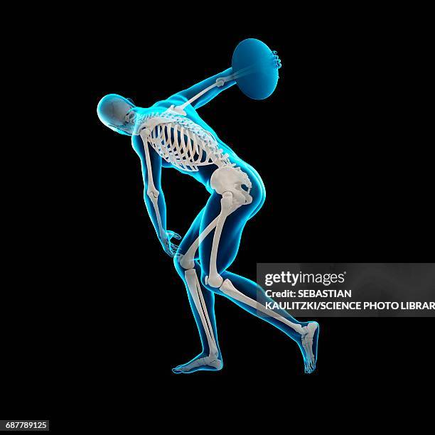 Discus Injuries Illustration Athlete Anatomy High Res Illustrations - Getty Images