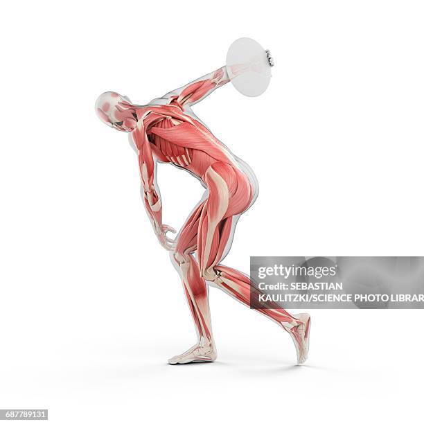 athlete throwing discus, illustration - throwing discus stock illustrations