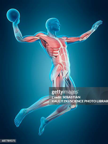 handball player, illustration - handball ball stock illustrations