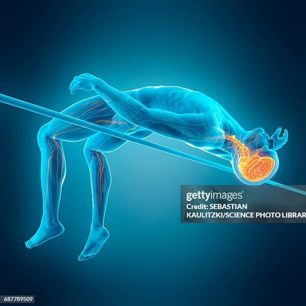 brain of person high jumping, illustration - high jump stock illustrations