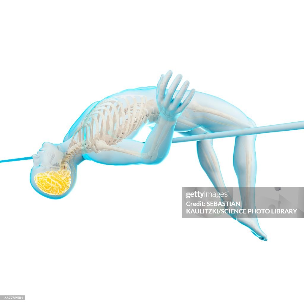 Jumping Brain Brain Of Person High Jumping Illustration High-Res Vector Graphic ...